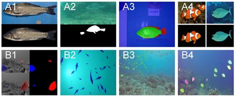 An FSFS-Net Method for Occluded and Aggregated Fish Segmentation from ...