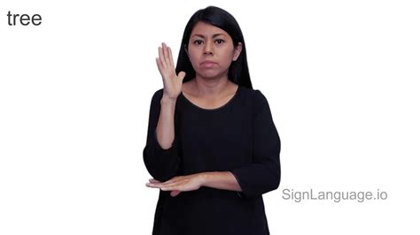 Image result for Tree Sign Language