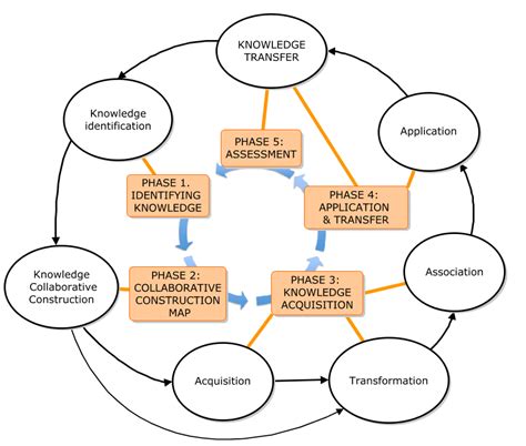 Knowledge Transfer Process 的图像结果