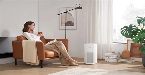 Whole-Home Air Purifier Systems: Pros, Cons, And Recommendations | IQAir