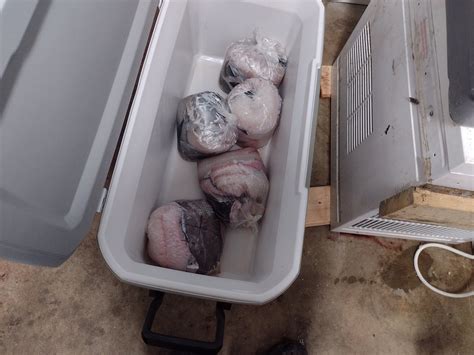 BUNNY CLARK FISHING CHARTER (2026) All You Need to Know BEFORE You Go ...