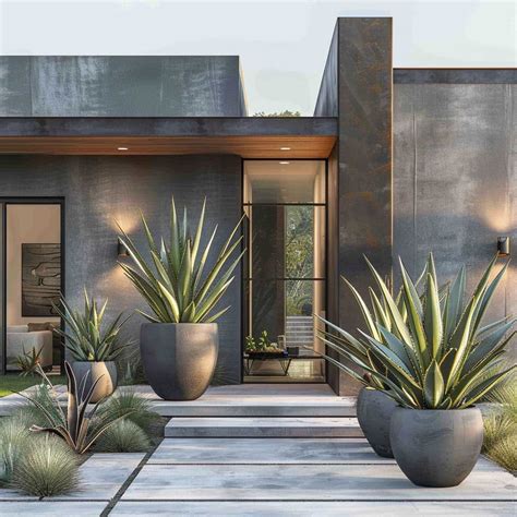 Contemporary Garden Designs for Modern Homes