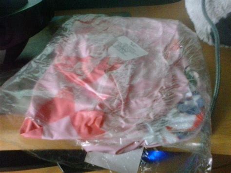 Image result for Inflatable Custard Cat