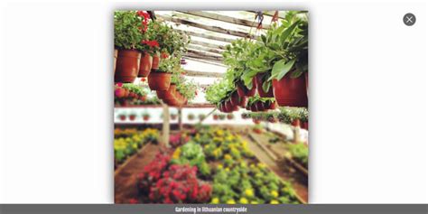 Light Box JavaScript/HTML5 的图像结果