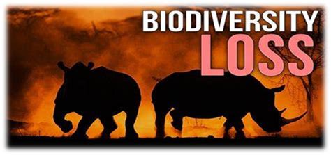 "Biodiversity is the greatest treasure we have... Its diminishment is ...