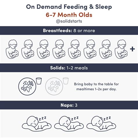 Baby Feeding Schedules by Month - From 6 to 24 Months - Solid Starts