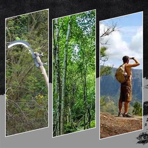 Multifunctional Portable Grass Sickle Cutter Head – Mydeals india