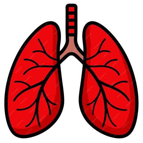A red lungs clip art and Vector Design With a White Background ...