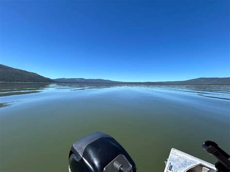 Eagle Lake Fish Report - Eagle Lake - Eagle Lake Report - June 6, 2024