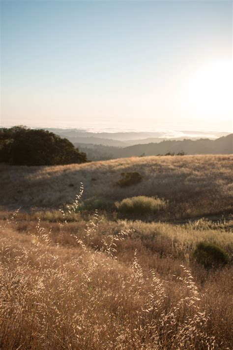 Sunset Hike at Russian Ridge Open Space Preserve – MilaDidIt