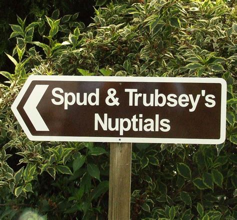 Image result for Fun Signs