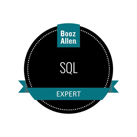 Image result for Expert-Level SQL Code