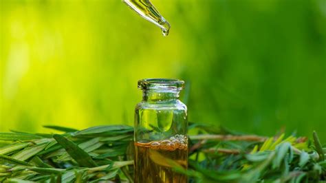 Does Your Scalp Feel Itchy During Monsoon? Here Are Its Causes and ...