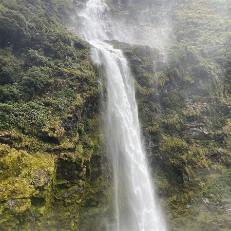 MILFORD TRACK (2026) All You SHOULD Know Before Going (with Photos)