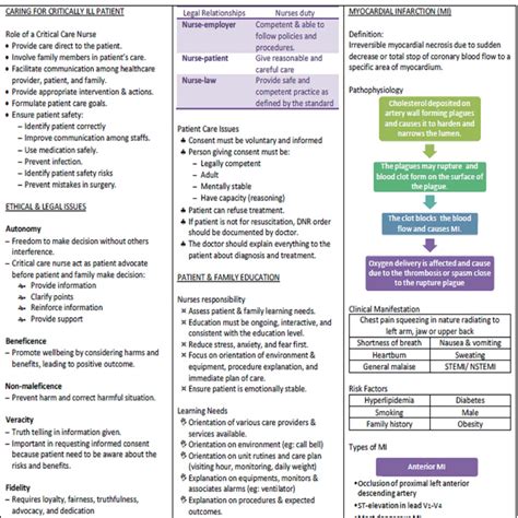 Buy Critical Care Nursing Study Guide to Pass Medical Surgical Online ...