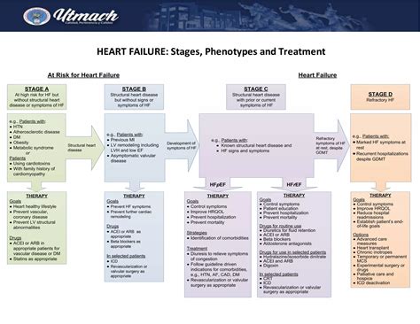 Heart failure algorithm | DOCX