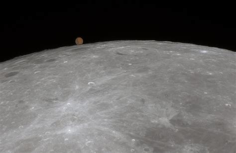 25 Facts About Livestock - Facts.net