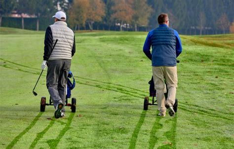 Image result for Winter Golf Exercise Programs