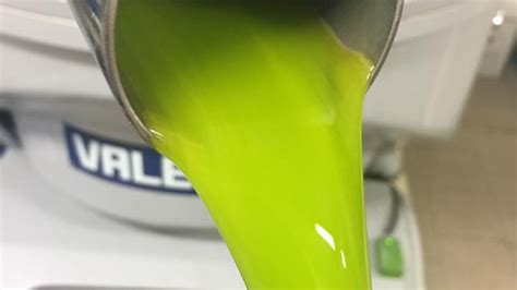 High Polyphenol EVOO FAQ | Bottega 1900 Olive Oil, Healthy