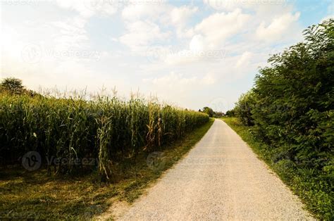 Path through Field 的图像结果