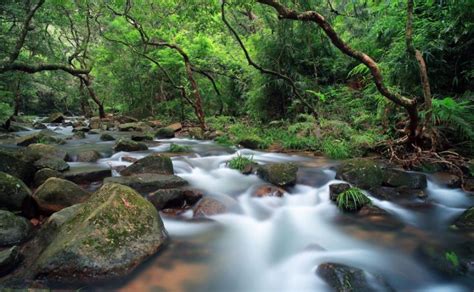 Tai Po Kau Nature Reserve, tsuen wan, Hong Kong - Top Attractions ...