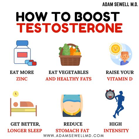 10 proven ways to increase testosterone levels naturally – Artofit