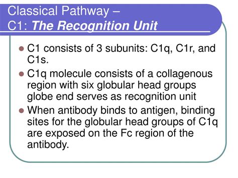 Image result for Complement CAS