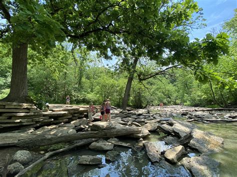 Waldorf — Chicago Waldorf School