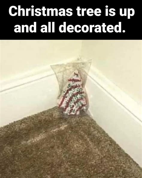 15 Funny Christmas Trees to Light Up Your Holidays - Funny