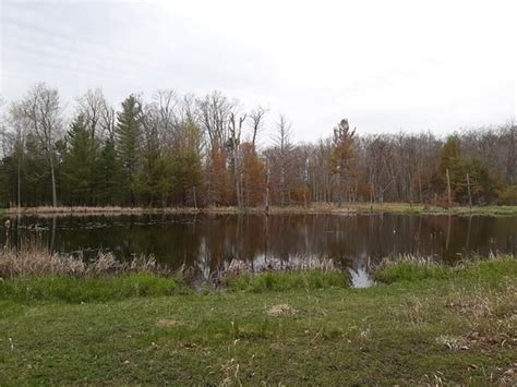 Oscoda Photos - Featured Images of Oscoda, MI - Tripadvisor