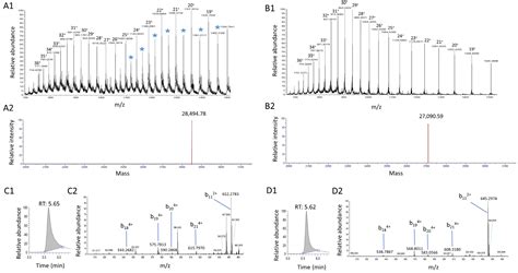 Quantification of Staphylococcal Enterotoxin A Variants at Low Level in ...