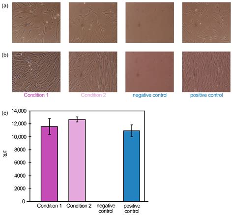 Proof-of-Concept of a Novel Cell Separation Technology Using Magnetic ...