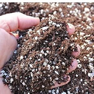 Shiviproducts Horticultural Perlite Vermiculite Combo Potting Mixture ...
