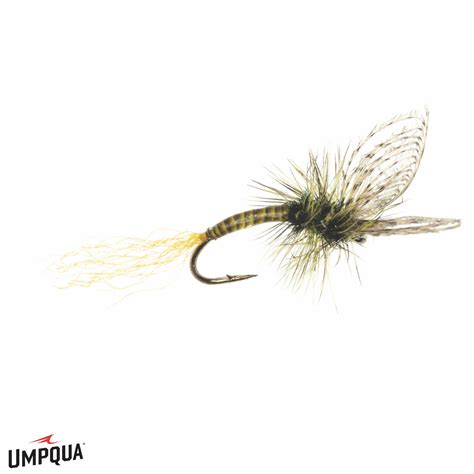 PMD Emerger Fly Pattern 的图像结果