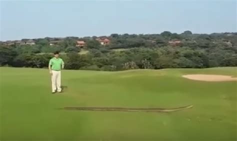 Image result for Africa Python Golf Course