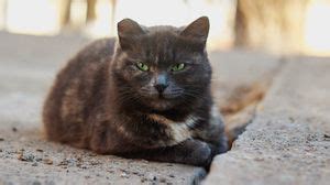 Homeless wallpapers hd, desktop backgrounds, images and pictures