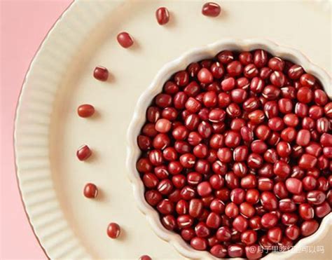 红豆怎么吃最补血 红豆补血的吃法介绍_知秀网