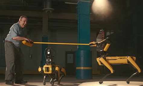 Machine Robot Spot 的图像结果