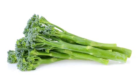 Broccolini vs Broccoli: 5 Key Differences - A-Z Animals