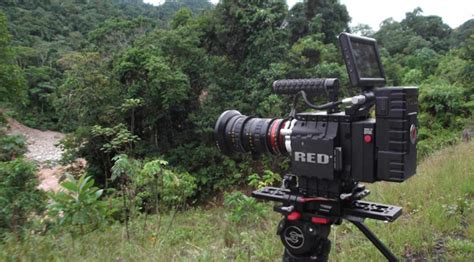 Red Camera 的图像结果