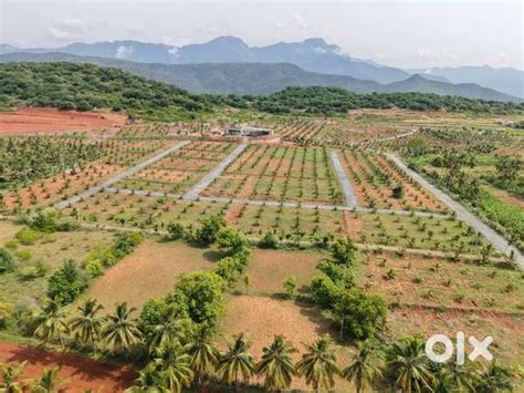 BEST INVESTMENT IN FARM LAND - Lands & Plots - 1813706931