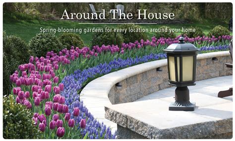25 Flower Bulb Garden Ideas You Must Look | SharonSable