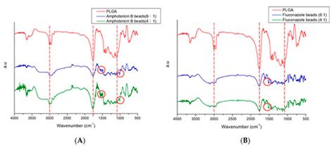 Resorbable Beads Provide Extended Release of Antifungal Medication: In ...