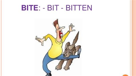 How to Use Bit or Bitten (Irregular Verb Conjugations) - Phrase Forges