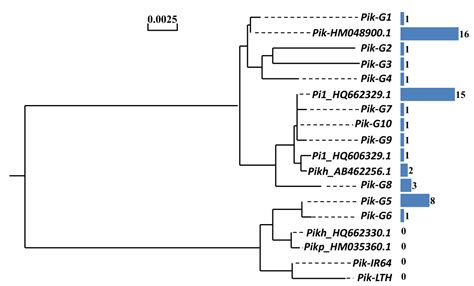 A Molecular Identification and Resistance Evaluation of the Blast ...
