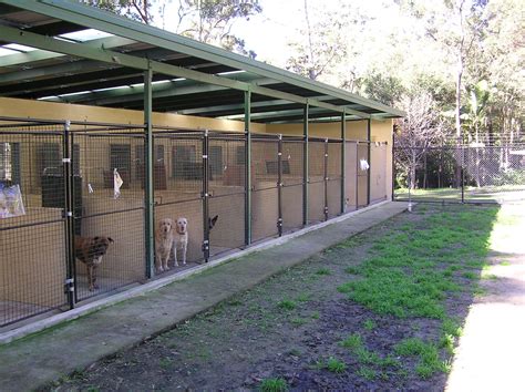 Dog Boarding Kennel Designs - Bing Images | Dog boarding kennels, Dog ...