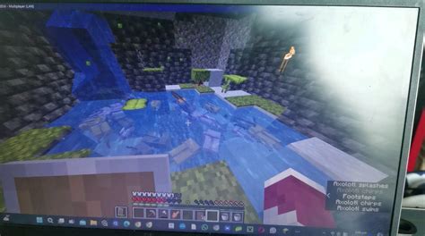 Image result for Axolotl Minecraft Enclosure Tutorial