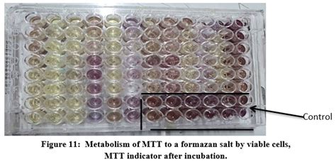 Image result for Enterococcus Faecalis Colon Cancer