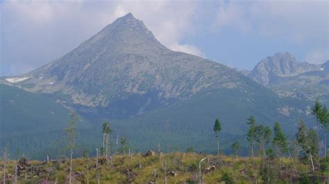 AMBIL SEKARANG