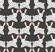 Image result for Springboig Bunnies